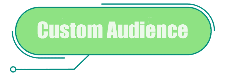 custom audience